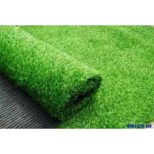 Cỏ Nhân Tạo - CỎ GV-06