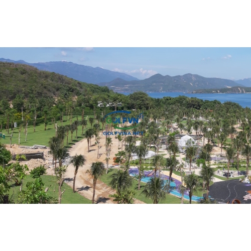 QUI TRÌNH THI CÔNG CỎ GOLF TỰ NHIÊN