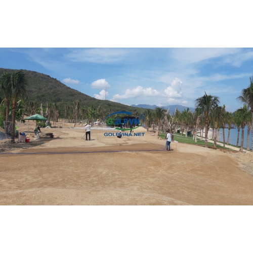 QUI TRÌNH THI CÔNG CỎ GOLF TỰ NHIÊN