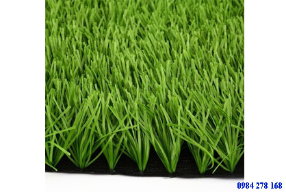 Cỏ Nhân Tạo CỎ GV-15